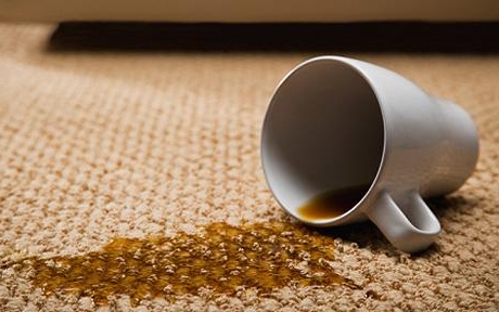 Northern VA Carpet Stain Removal