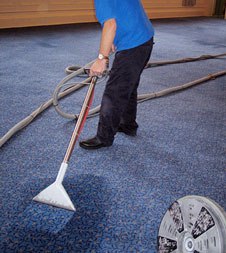Northern VA Carpet Cleaning 