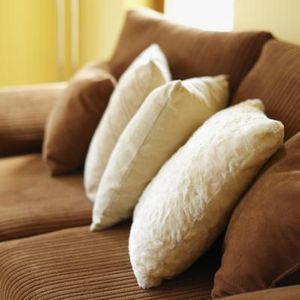 Northern VA Upholstery Cleaning